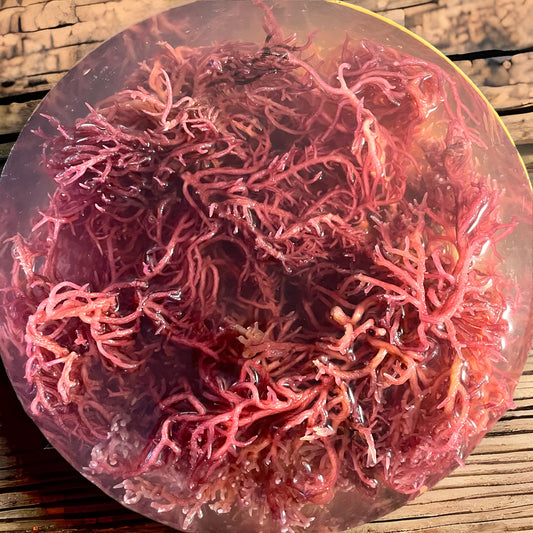 Raw Sea Moss Care Instructions