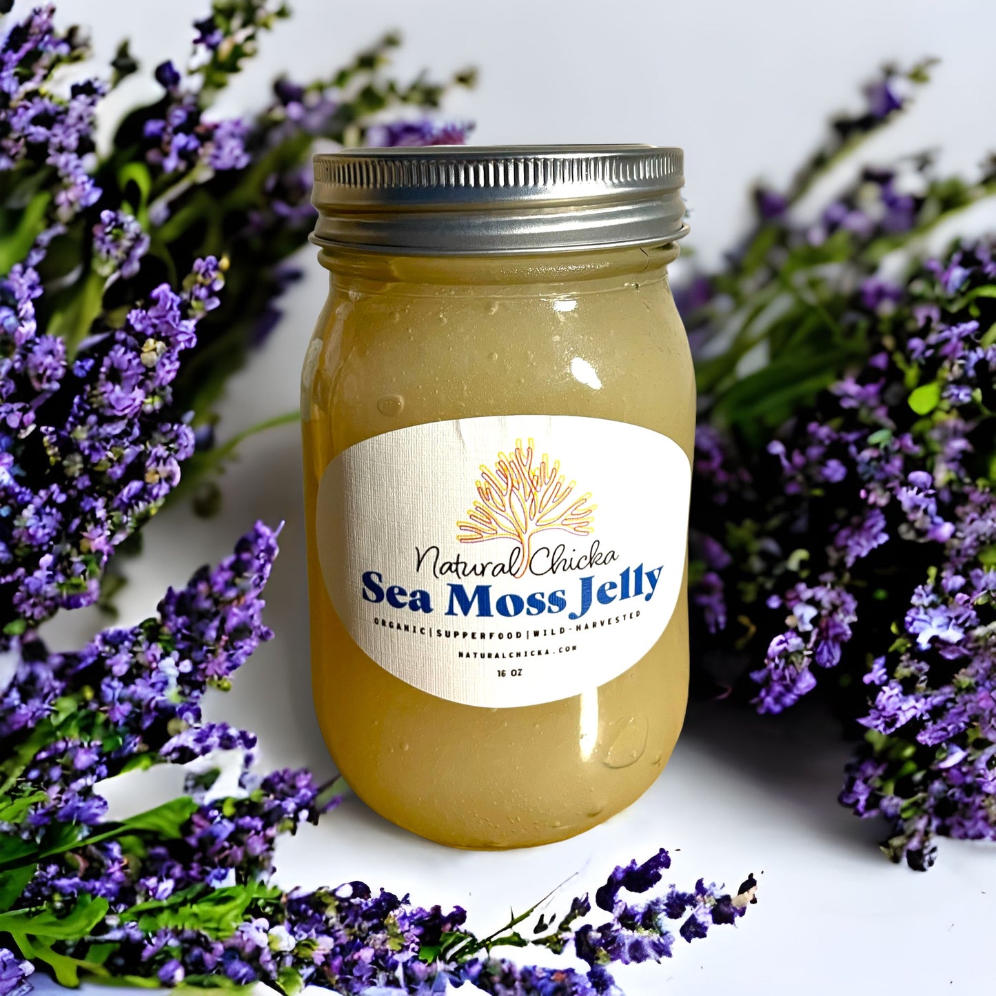 16 oz Wildcrafted Gold Sea Moss Jelly