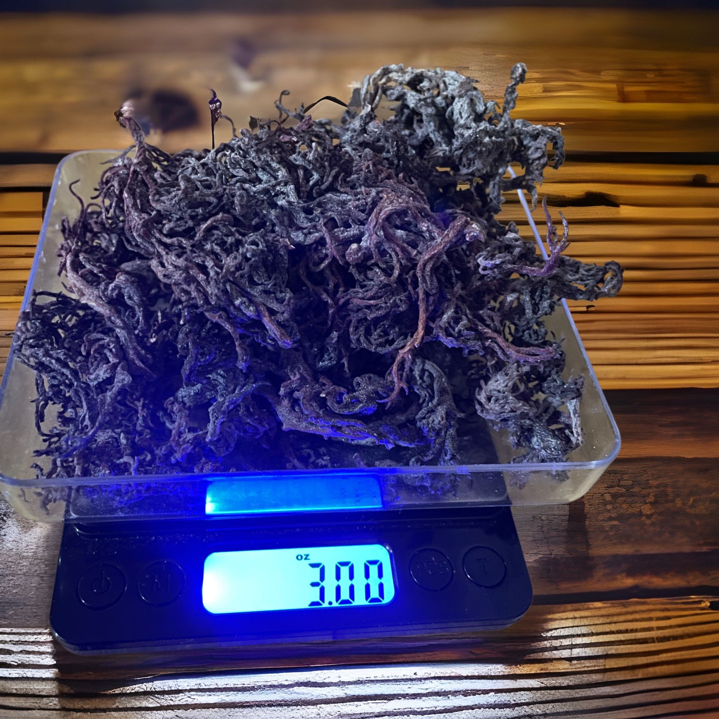 Wildcrafted,  Purple Sea Moss